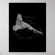 Podiatriste de pied Anatomie cadeau Décor Médicale