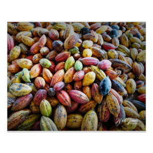 Poster Pods de Coca colorés Design photographique