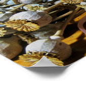 Poster Pods de pavot à fleurs séchés (Coin)