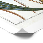 Poster Pods de vanille, assiette 65, de 'Collection Preci (Coin)