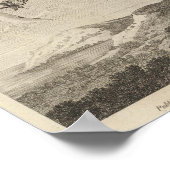 Poster Poebird, Nouvelle-Zélande (Coin)