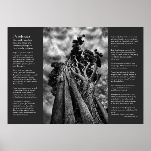 Poster Poème De Desiderata - Le Ciel (Devant)