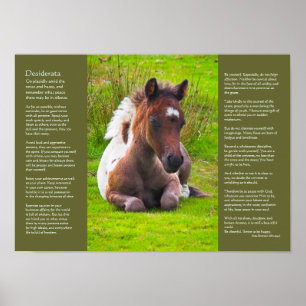 Poster Poème Desiderata - Foie Dartmoor Pony