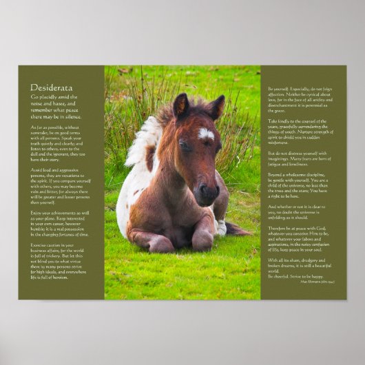 Poster Poème Desiderata - Foie Dartmoor Pony (Devant)