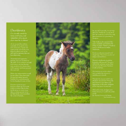 Poster Poème Desiderata - Foie Dartmoor Pony (Devant)