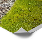 Poster poème Sky boivin (Coin)