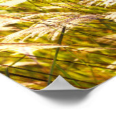 Poster Poème sur le temps de récolte (Coin)