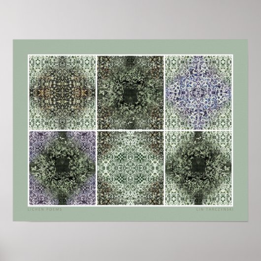 Poster Poèmes Lichen (Devant)