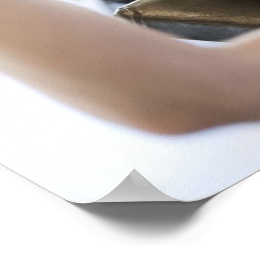 Poster Poids de levage des femmes (Coin)