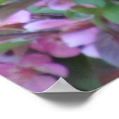 Poster Poignée Apple Blossom (Coin)