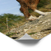 Poster Poignée de boxe (Coin)