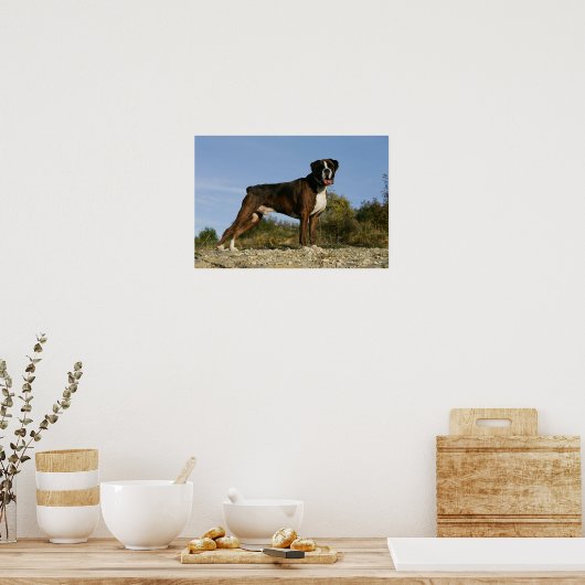 Poster Poignée de boxe (Cuisine)