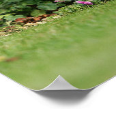 Poster Poil à fil standard Dachshund assis (Coin)