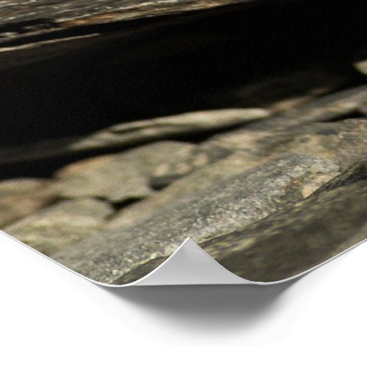 Poster Poil de musculation (Coin)