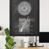 Poster Poil Follicule Anatomie Art (Bureau à domicile)