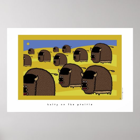 Poster poilu dans la prairie (Devant)