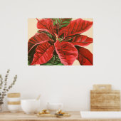 Poster "Poinsettia" par Jenny Koch (Cuisine)