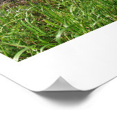 Poster Point de vue Pittoresque de l'État du Cap Meares (Coin)