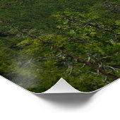 Poster Point d'inspiration dans le parc national Yosemite (Coin)