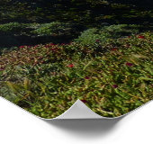 Poster Point d'inspiration I d'Anacapa aux îles Anglo-Nor (Coin)