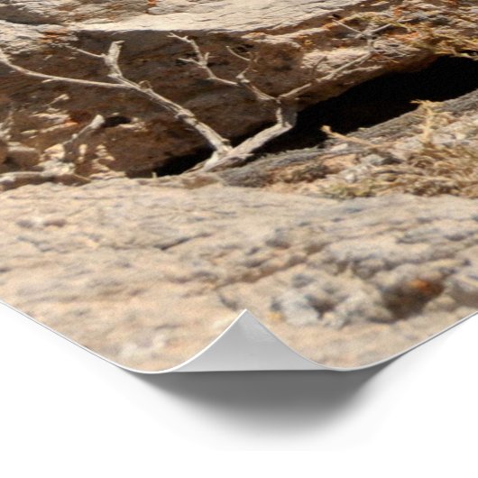 Poster Point d'observation (Coin)