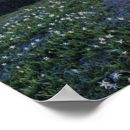 Poster Point d'obstruction coucher de soleil, Pôle olympi (Coin)