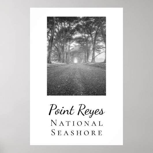 Poster Point Reyes (Devant)