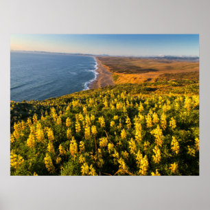 Poster Point Reyes National Seashore Californie