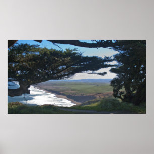 Poster Point Reyes parmi des arbres