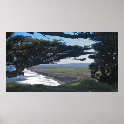 Poster Point Reyes Parmi Les Arbres (Devant)