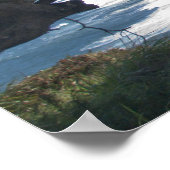 Poster Point Reyes Parmi Les Arbres (Coin)