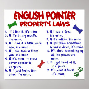 POSTER POINTER ANGLAIS PL2