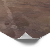 Poster Pointeur à poils courts allemand (Coin)