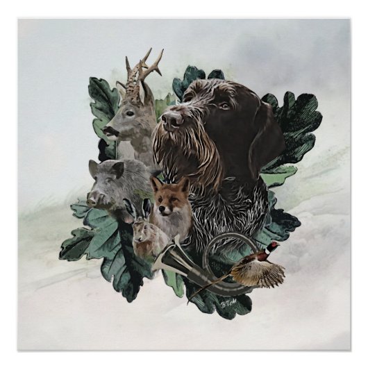 Poster Pointeur À poils durs allemand (Devant)