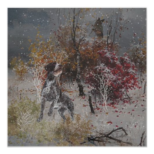 Poster Pointeur À poils durs allemand avec bécasse en hiv (Devant)