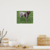 Poster Pointeur allemand à courte portée (Cuisine)