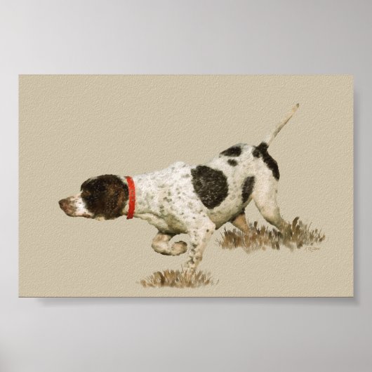 Poster Pointeur anglais (Devant)