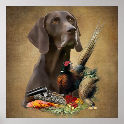 Poster Pointeur Raccourci allemand GSP (Devant)