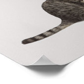 Poster Pointeur regardant en bas du chat (Coin)