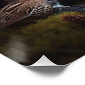 Poster Pointeurs allemands à poils courts (Coin)