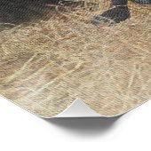 Poster Pointeurs germains (GSP) (Coin)