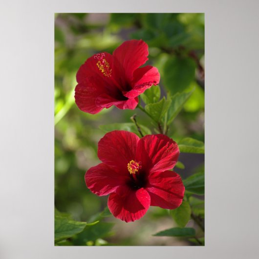 Poster Pointez sur le chemin (Devant)