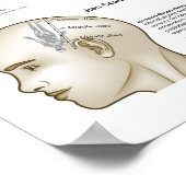 Poster Points d'acupuncture du cuir chevelu (Coin)