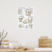 Poster Points d'acupuncture du cuir chevelu (Cuisine)