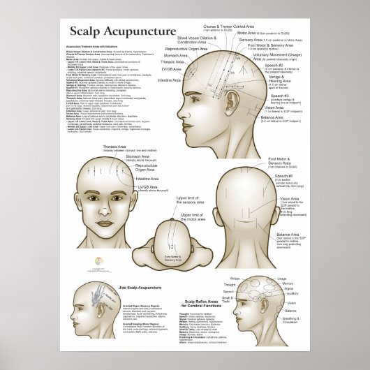 Poster Points d'acupuncture du cuir chevelu (Devant)