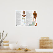 Poster Points d'acupuncture du méridien de la vessie (Cuisine)