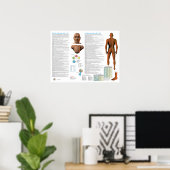 Poster Points d'acupuncture du méridien de la vessie (Bureau à domicile)