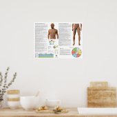 Poster Points d'acupuncture du méridien de l'estomac (Cuisine)