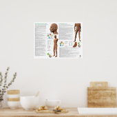 Poster Points d'acupuncture du méridien du foie (Cuisine)