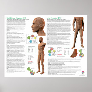 Poster Points d'acupuncture du méridien du foie